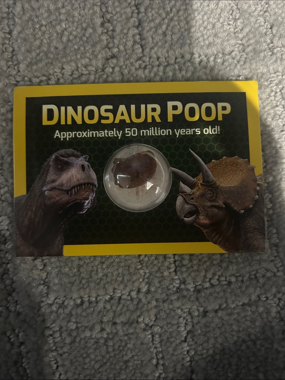 Dinosaur Poop Collectible Display with Fossil Nugget - Yellow & Black